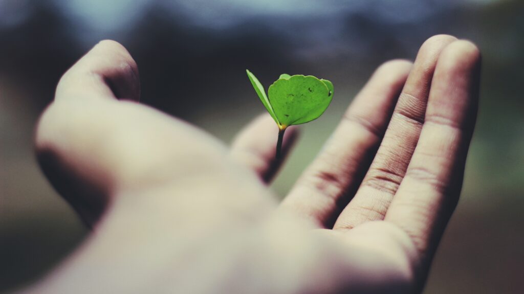 Floating Leaf on persons hand symbolizing environmental sustainability